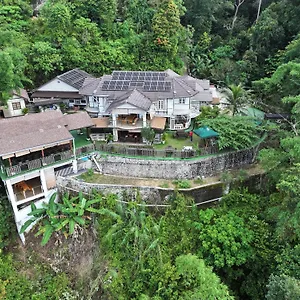 Hickory Penang Hill *** Ayer Itam